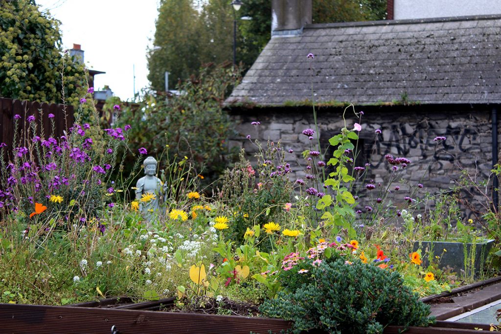 newcommencourt_011_roof-garden