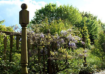 Broken Decking and Wild Gardens