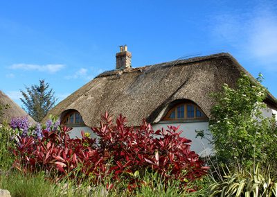 Thatch garden