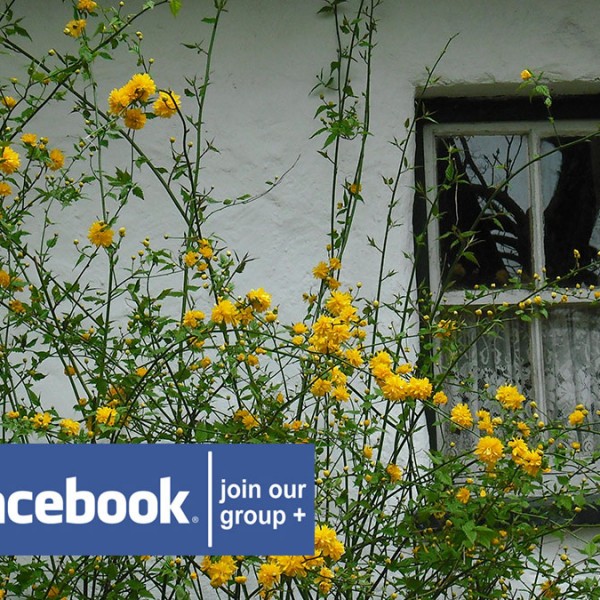 Irish-Cottage-Renovators-Group-Facebook