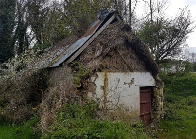 Thatch under a tin roof