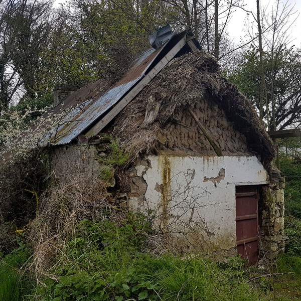 Thatch under a tin roof